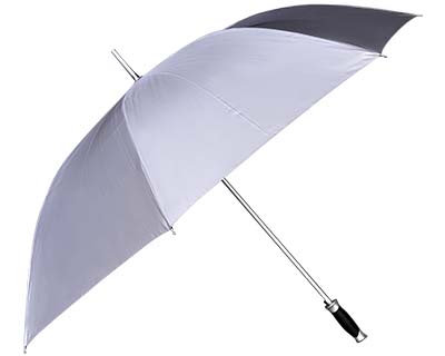Silver Umbrella